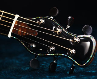 Bone Nut on Ebony Headstock