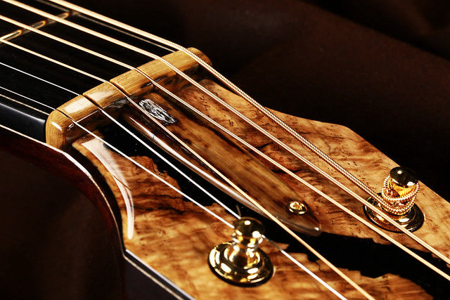 Wooly Mammoth Tusk Bark Nut and Truss Rod Cover