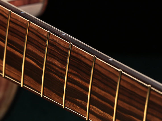 Evo Gold Frets Hatcher Guitars